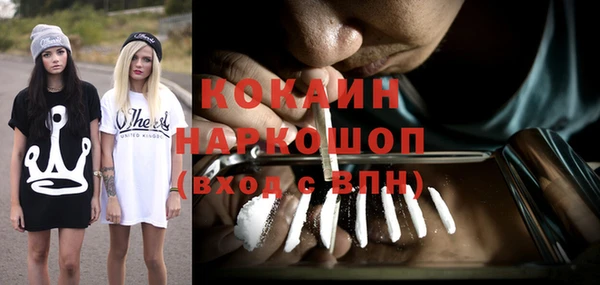 шишки Козловка