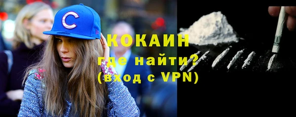 шишки Козловка