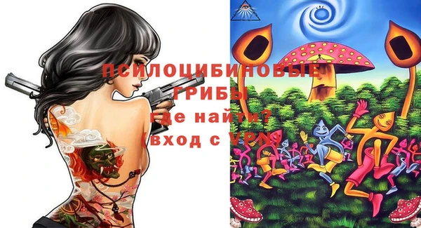 шишки Козловка