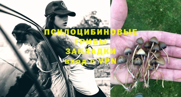 шишки Козловка