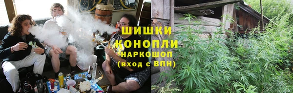 шишки Козловка
