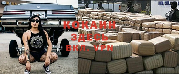 шишки Козловка