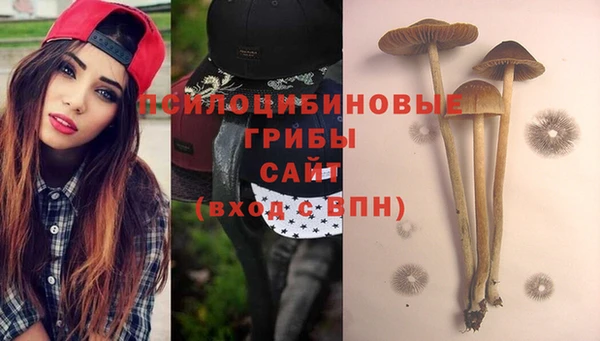 марки lsd Козельск