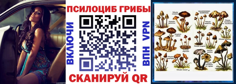 Купить где  Янаул  Псилоцибиновые грибы Cubensis 